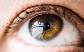 Što je skijaskopija - određivanje dioptrije pomoću širenja zjenica