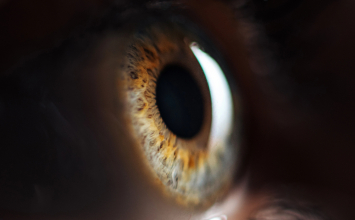 Što znači kad vidite bljeskove i crne točkice pred očima?